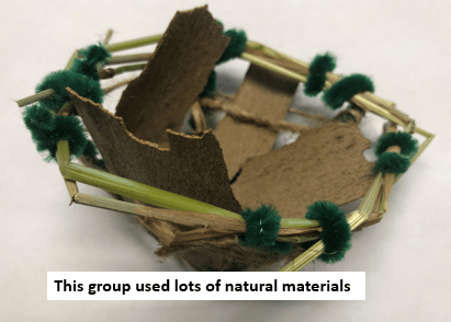 How to build a bird's nest using natural resources 